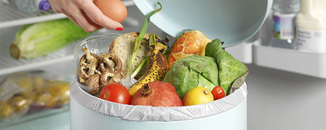 能垃圾桶品牌推荐EVO视讯真人智